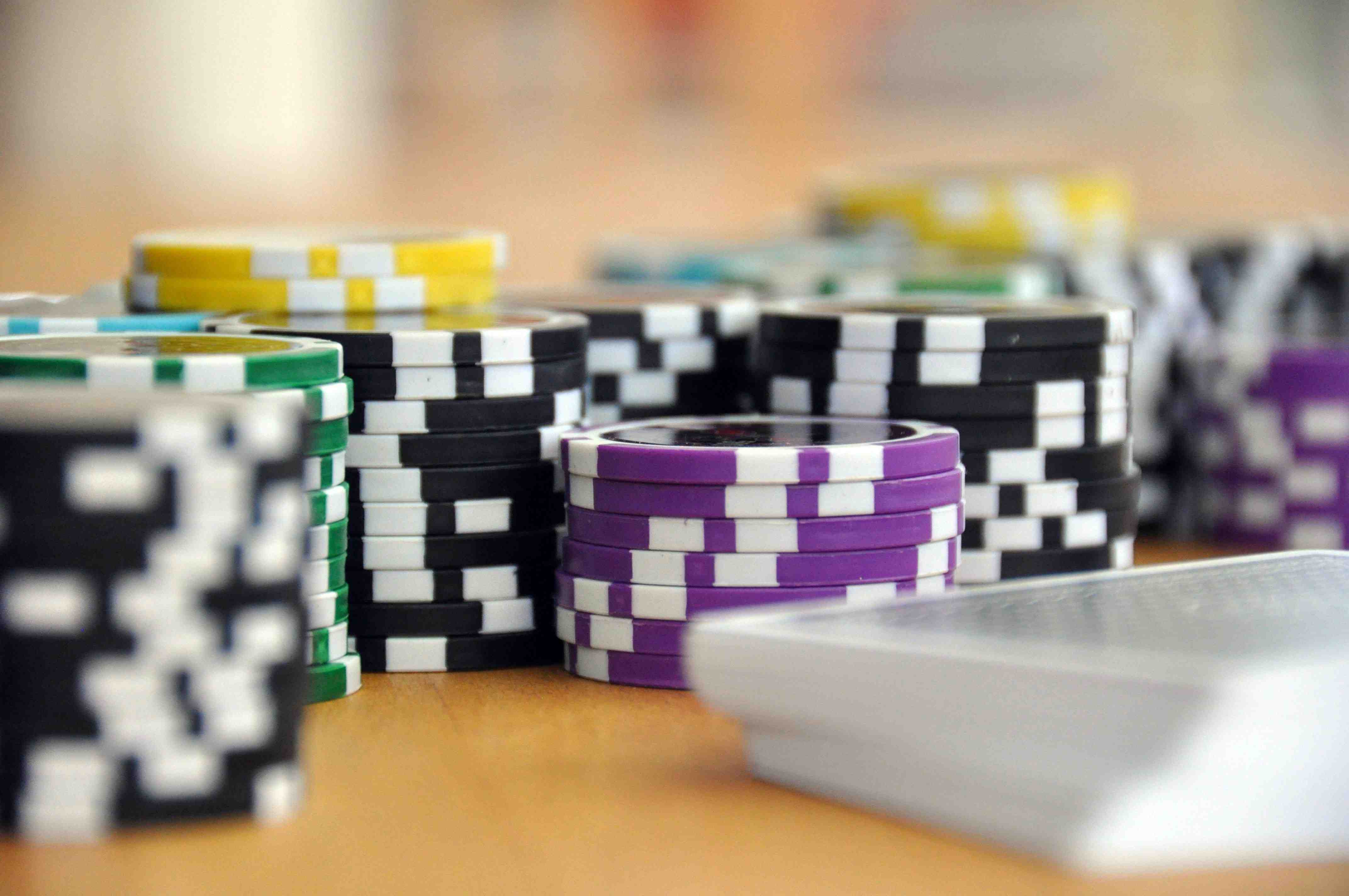 winplus sports betting interface showing live odds for Filipino fans